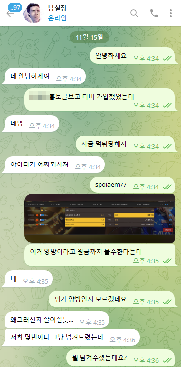 디비먹싸