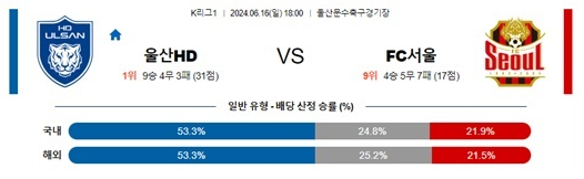 06월16일 울산HD vs FC서울 K리그 축구